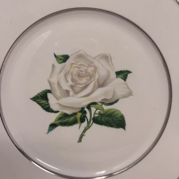 Set of 2 Embassy Vitrified White Rose - Dinner Plate - 10 1/8" Diameter - Picture 5 of 11